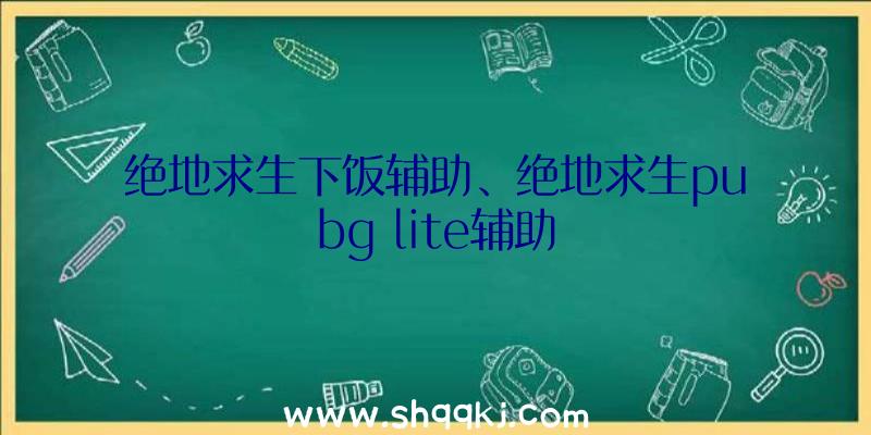 绝地求生下饭辅助、绝地求生pubg